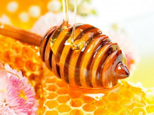 Специализированная ярмарка мёда и продуктов пчеловодства «От Крыма до Владивостока»